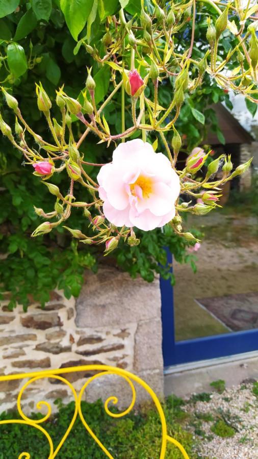 Pleslin-Trigavou Ker Anahid - L'Atelier Bed & Breakfast エクステリア 写真