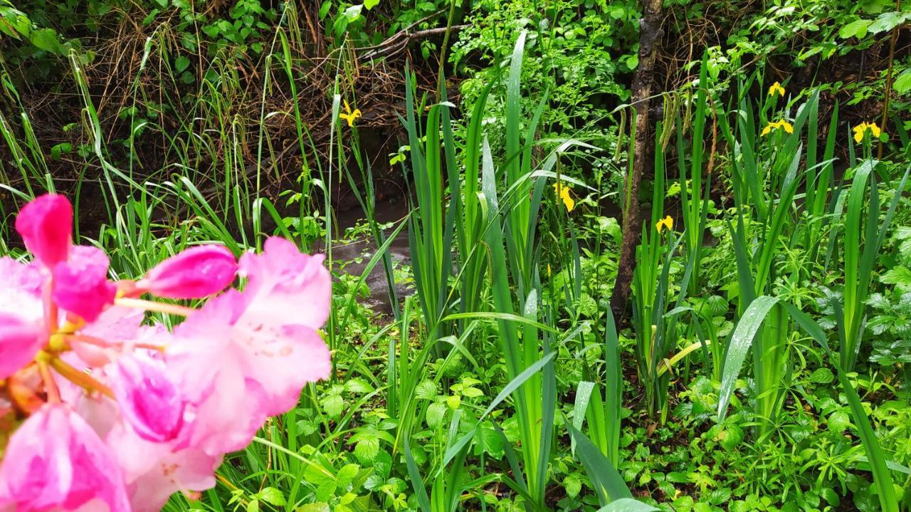 Pleslin-Trigavou Ker Anahid - L'Atelier Bed & Breakfast エクステリア 写真
